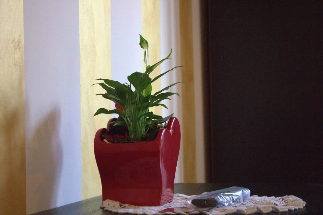 Fiumicinoa57 Bed & Breakfast 3*, Fiumicino Italy